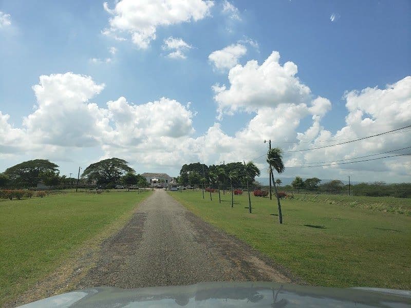Halse Hall Great House - Hayes - Jamaica - Booked ai