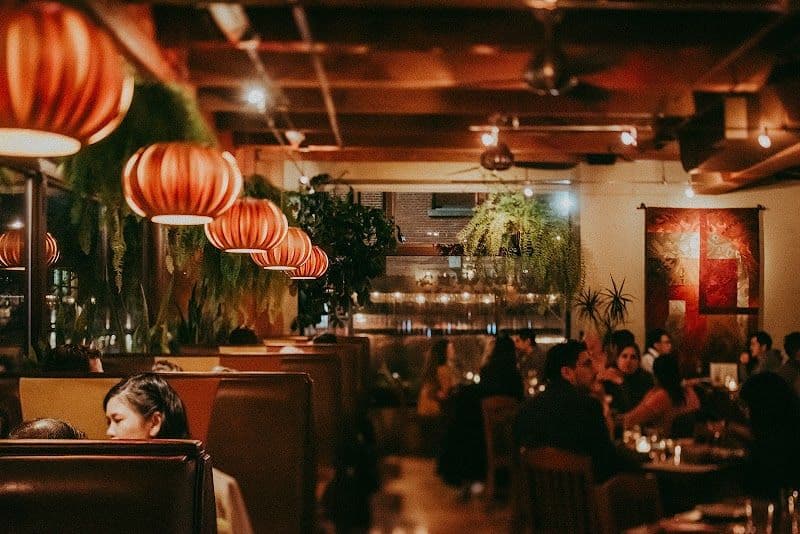 Andina - Portland - USA - Booked ai