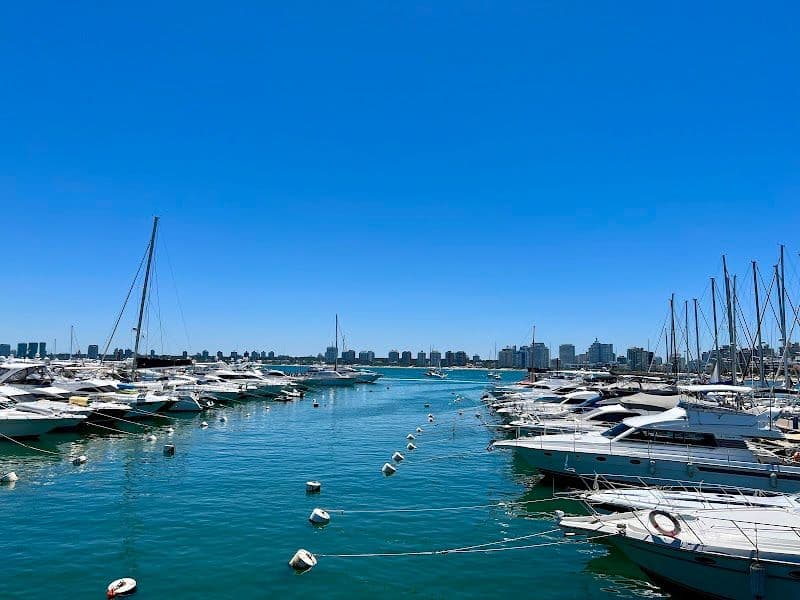Puerto de Punta del Este - Punta del Este - Uruguay - Booked ai