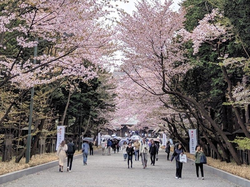 Maruyama Park - Sapporo - Japan - Booked ai