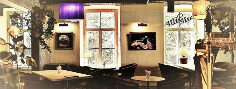 Vilde ja Vine - Tartu - Estonia - Booked ai