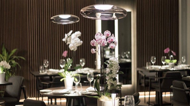 Clochard - Thessaloniki - Greece - Booked ai