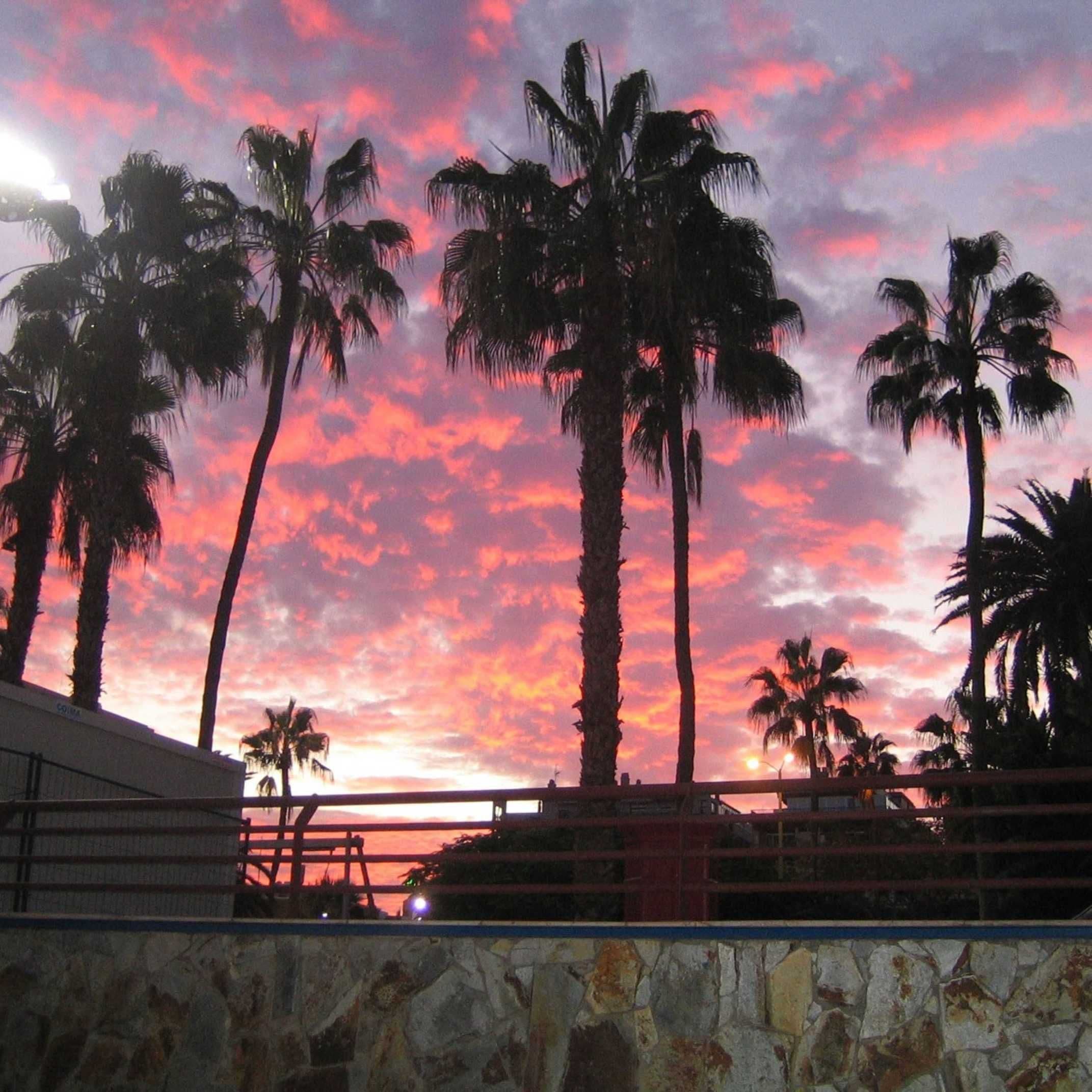 Solo Travel in Miami: How to Explore the Magic City on Your Own Terms