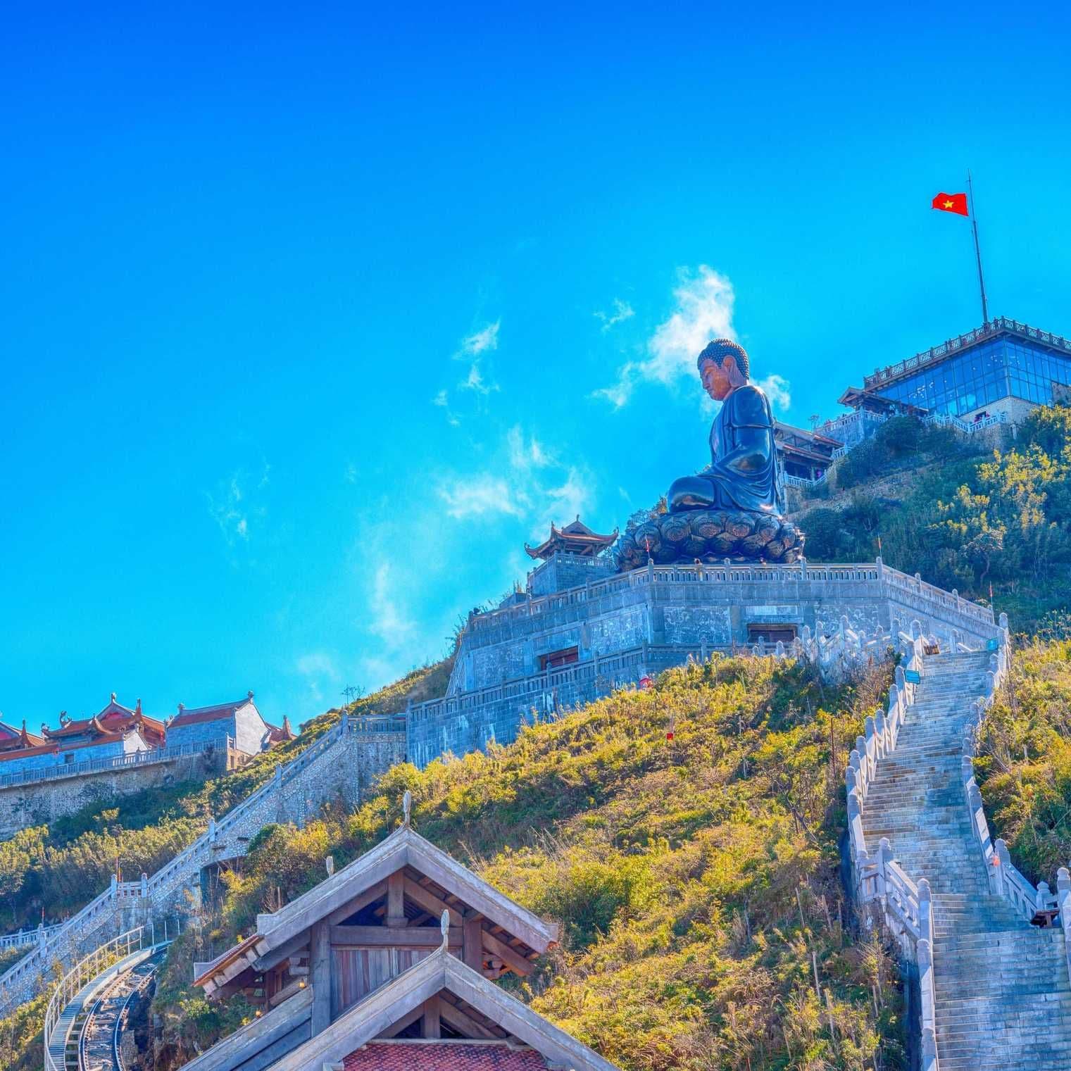 Everything You Need to Know