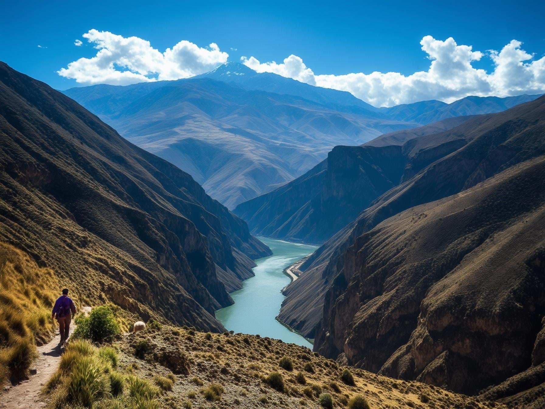 A Complete Guide to Exploring the Colca Canyon Near Arequipa