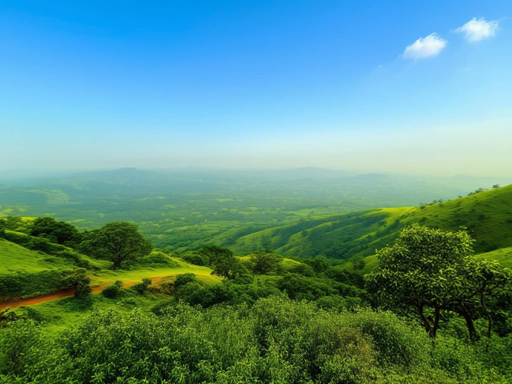 "Best Time to Visit Chikmagalur: Weather, Festivals, and Seasonal Attractions"