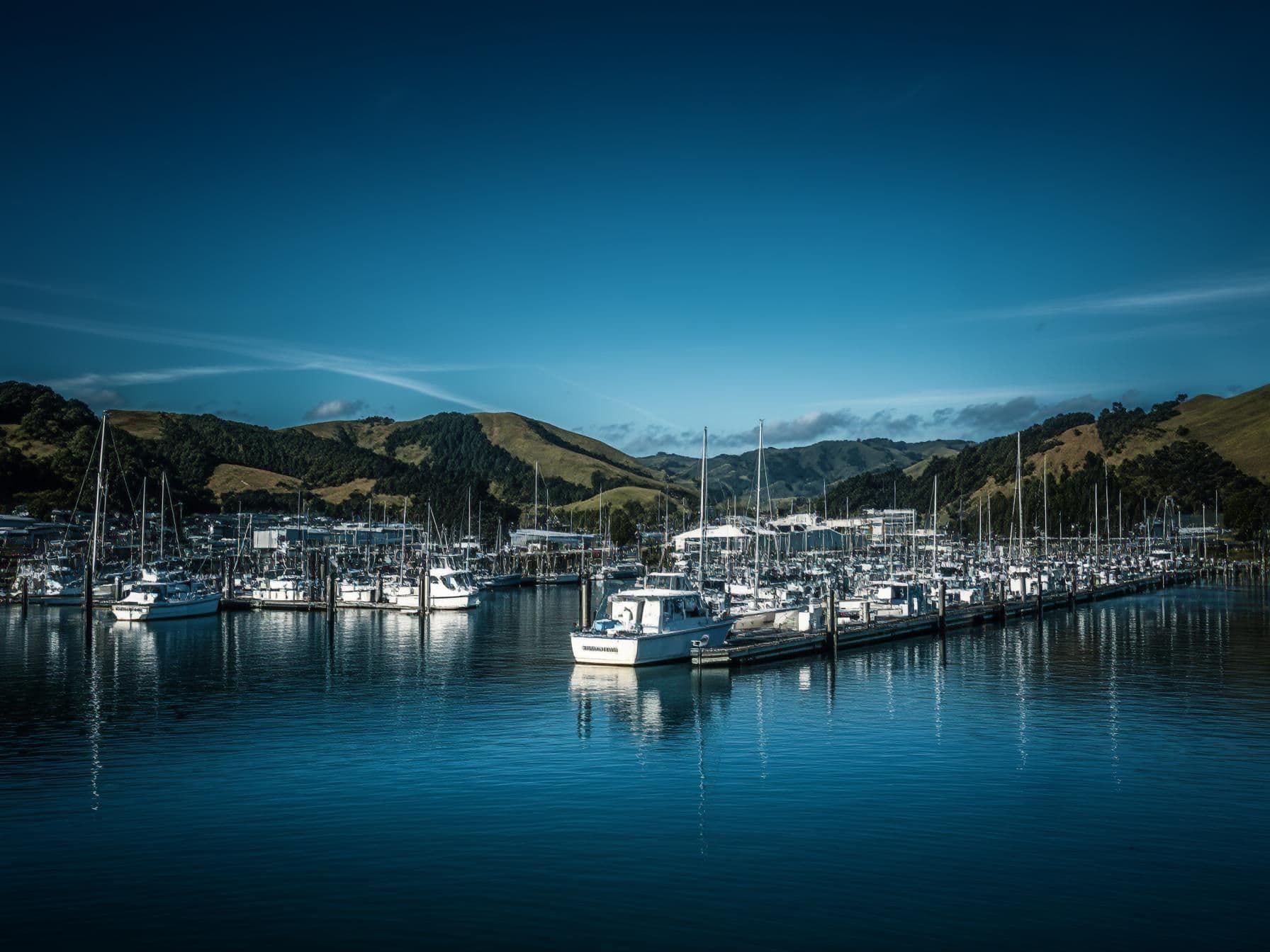 Discover Whangarei: Top 10 Must-See Attractions in New Zealand