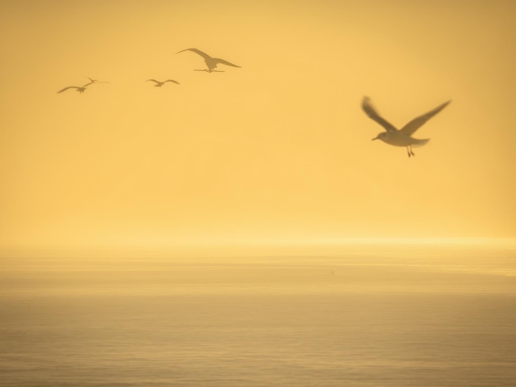 Top Tips for Booking Affordable Flights to Penzance