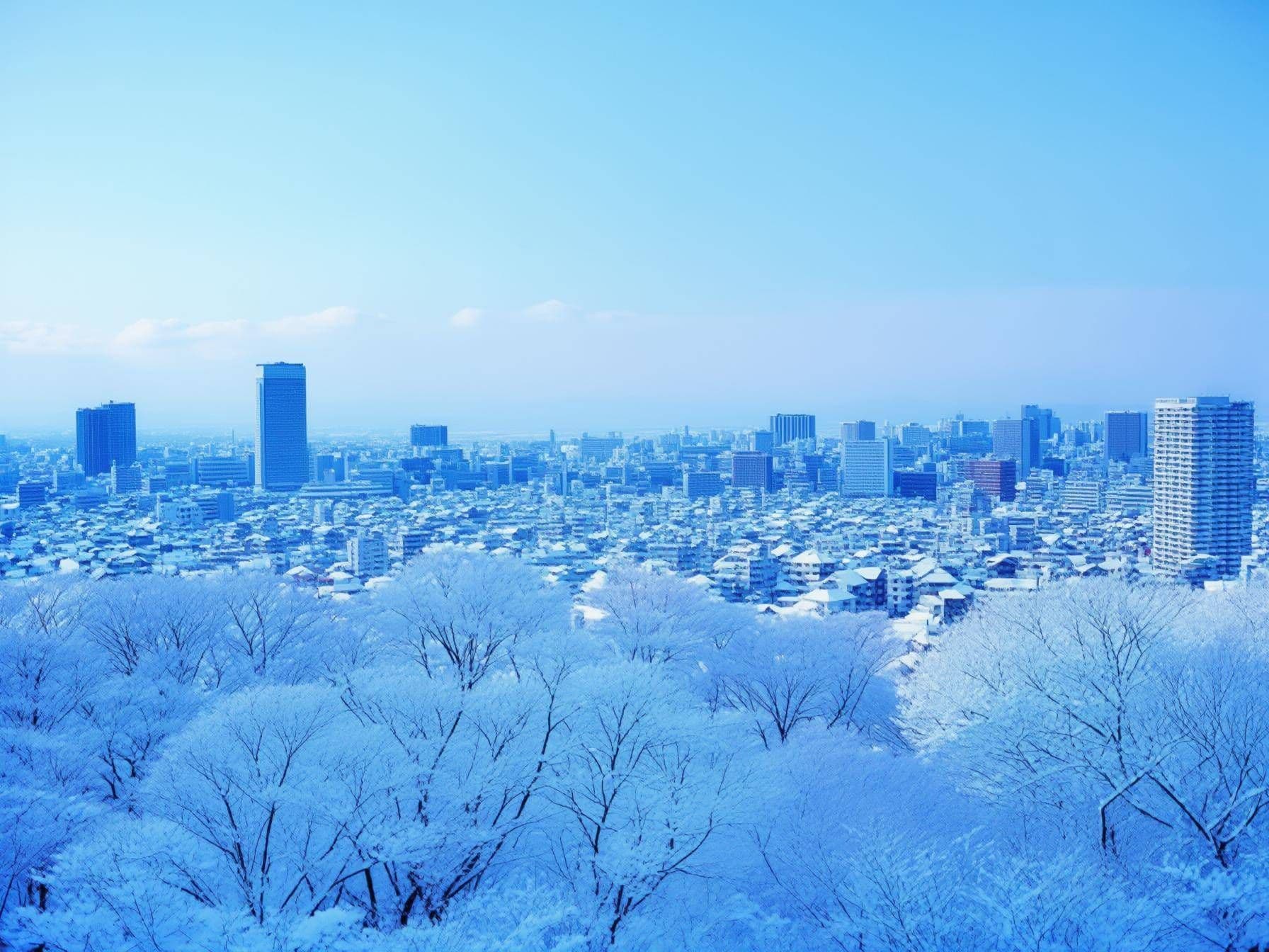 Sapporo Travel Tips What to Know Before You Go