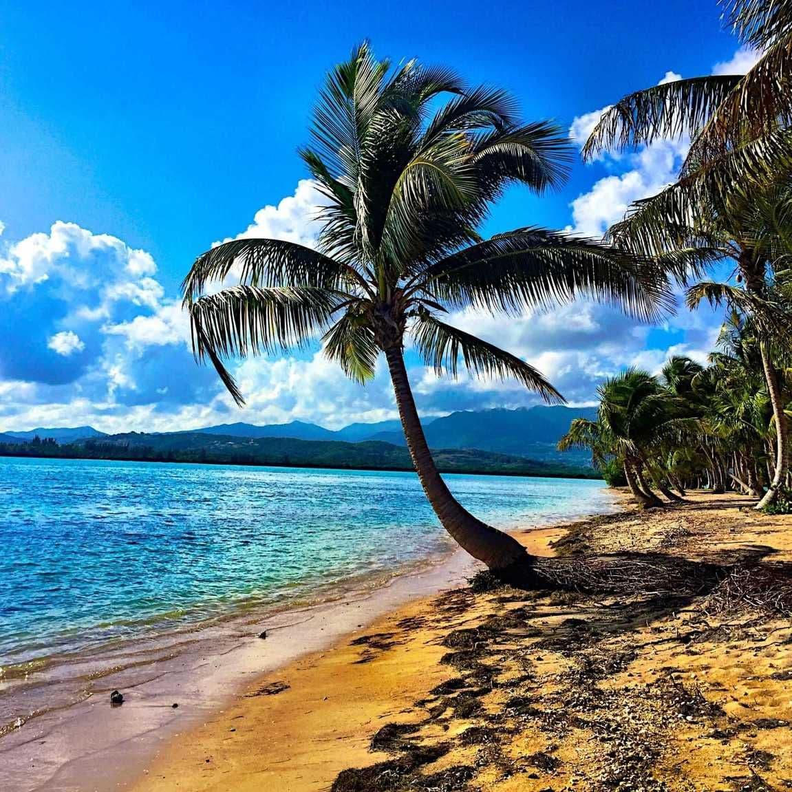 Puerto Princesa Travel Guide: Everything You Need to Know