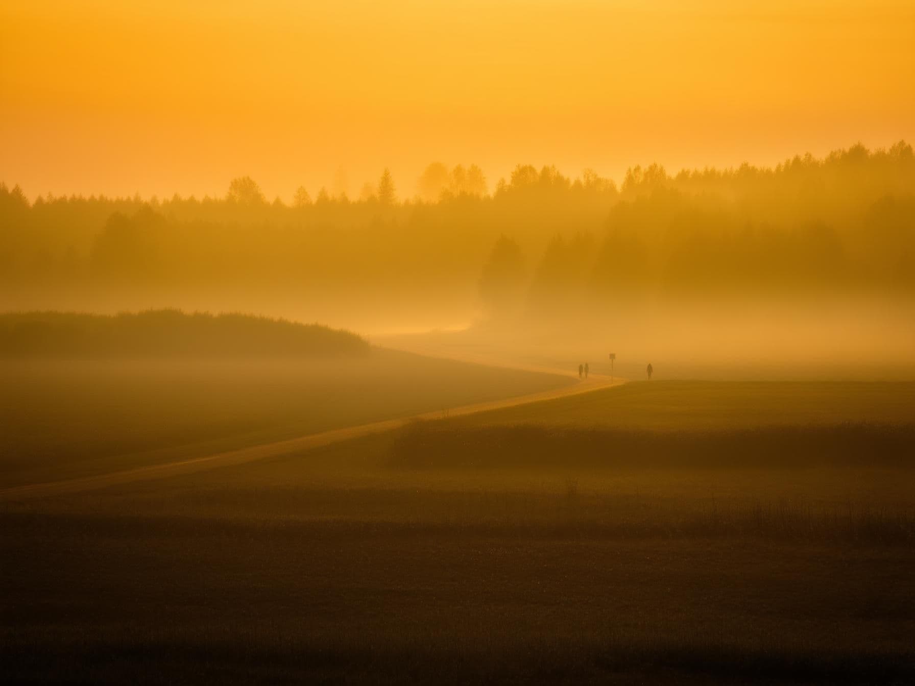 Discovering Salaspils: Flights, Transportation, and Top Attractions Guide