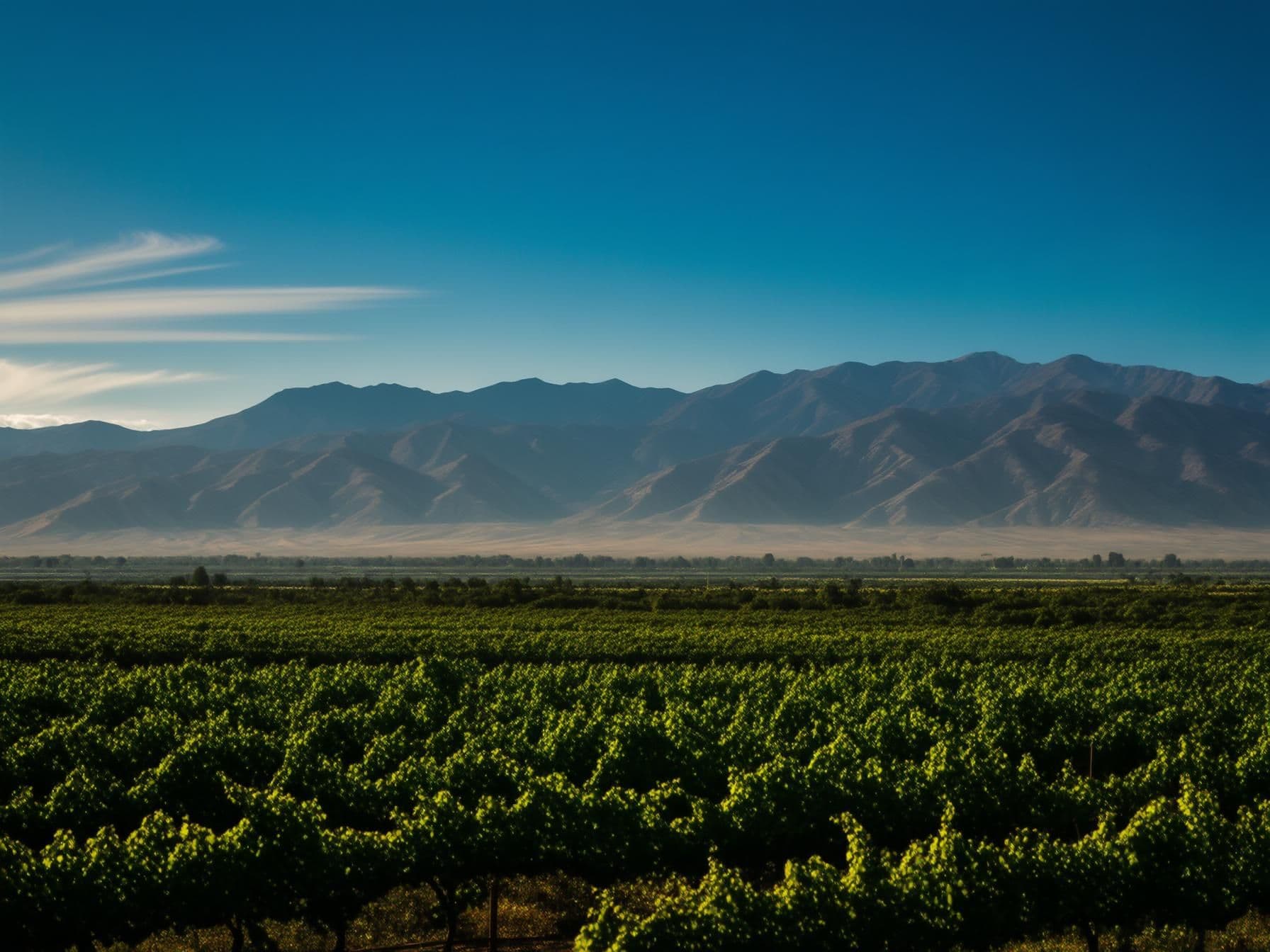 Best Time to Visit Mendoza, Argentina: Weather, Wine Harvest & Travel Tips | Booked AI