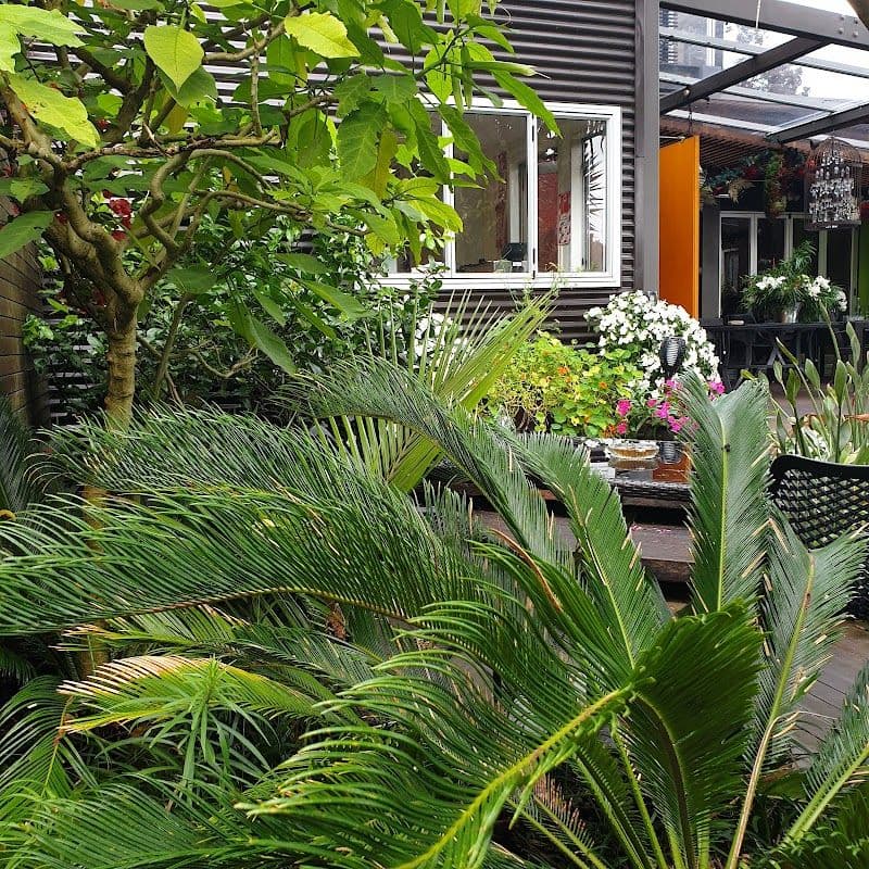 Nice Hotel, New Plymouth