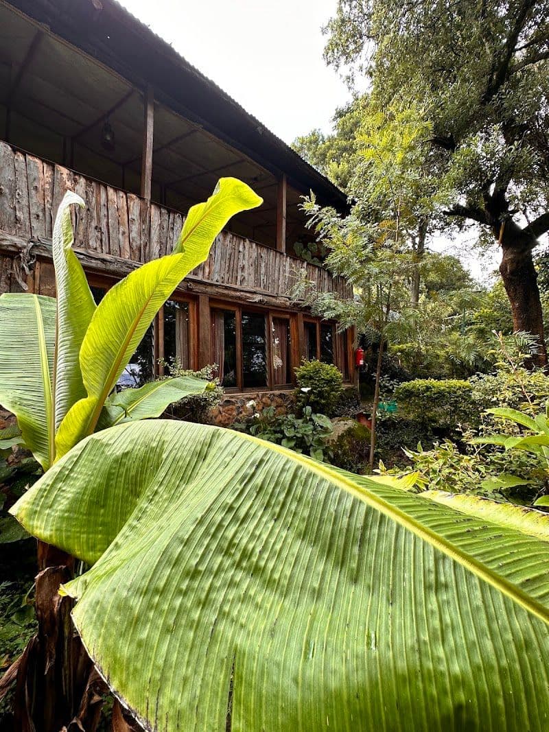 Naiberi River Campsite & Resort