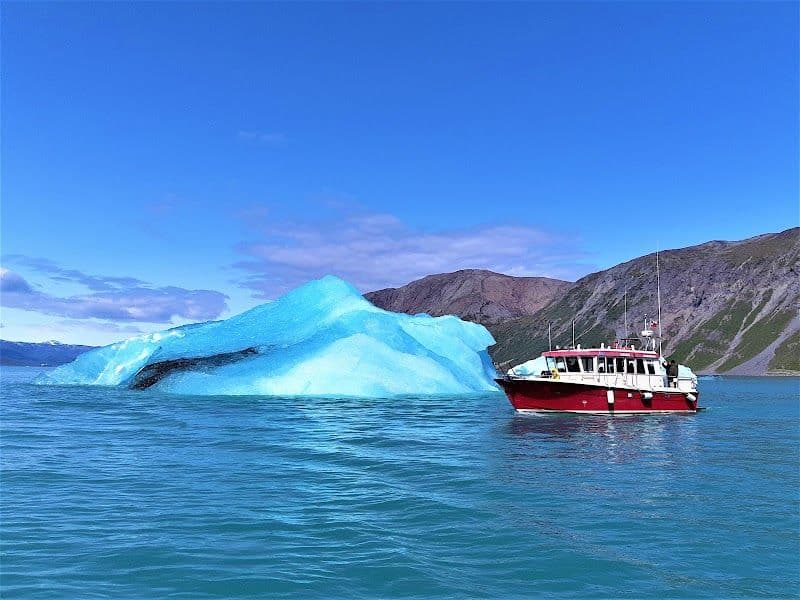 Boat tours to the nearby fjords and icebergs