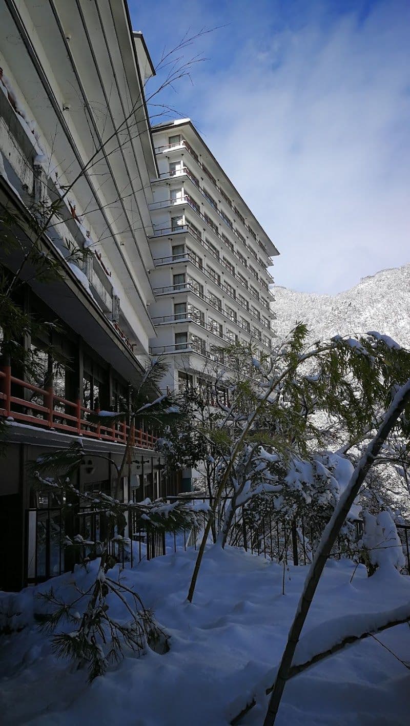 Aizu Ashinomaki Onsen Okawaso