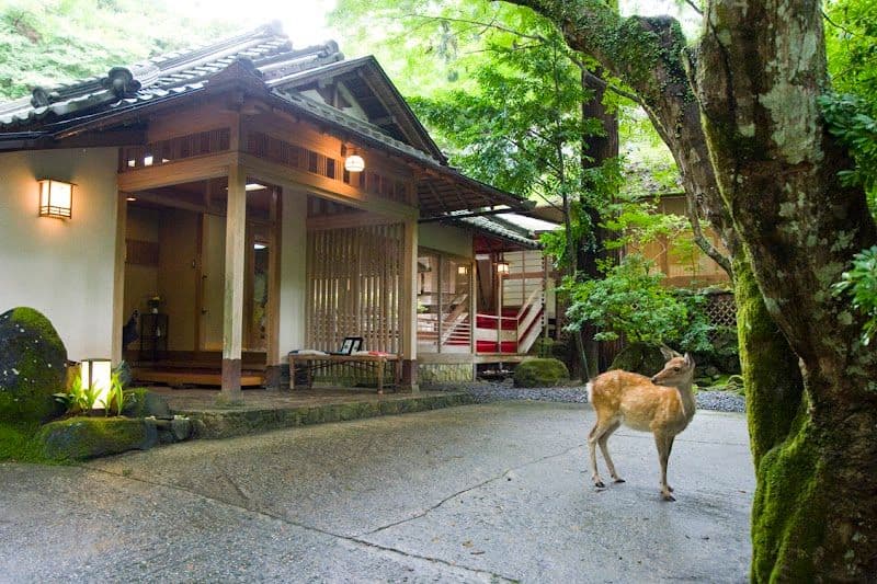 Tsukihitei Ryokan