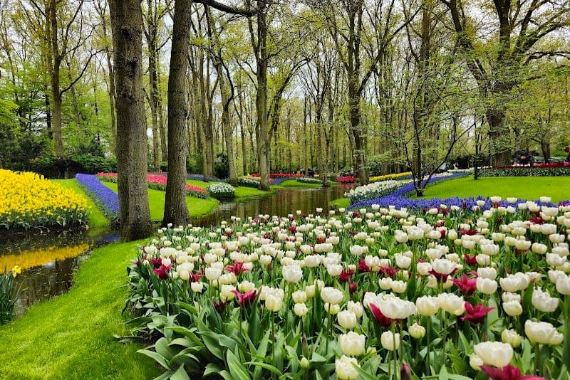Keukenhof