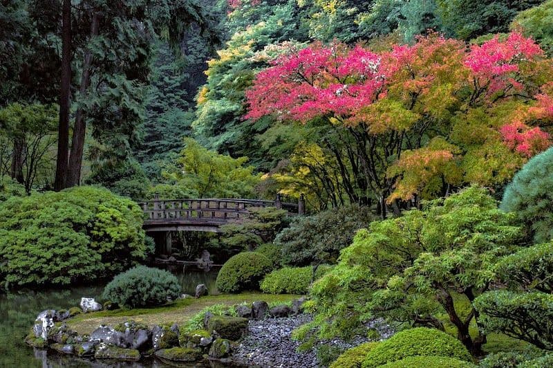 Washington Park and Portland Japanese Garden