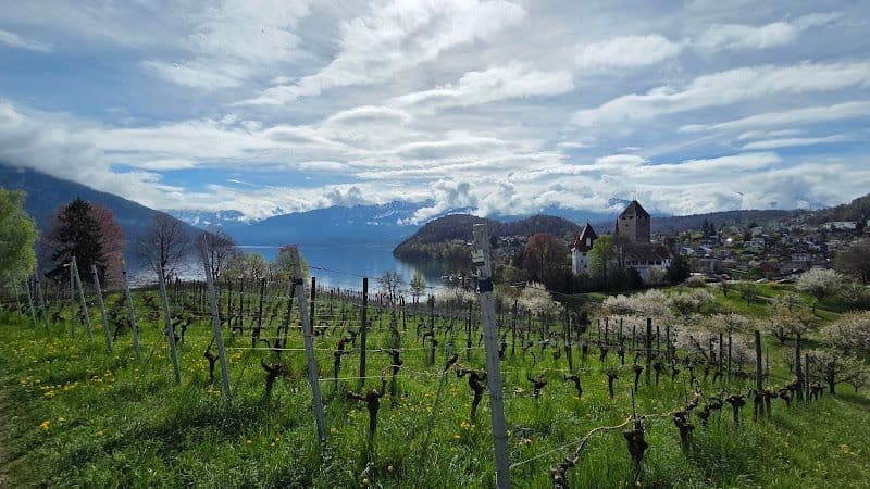Hike the Spiez Panorama Trail