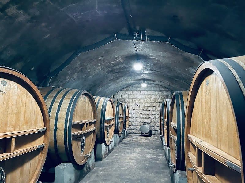 Changyu Wine Culture Museum