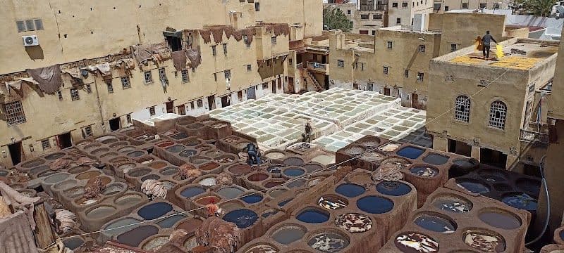 Tour the Chouara Tannery