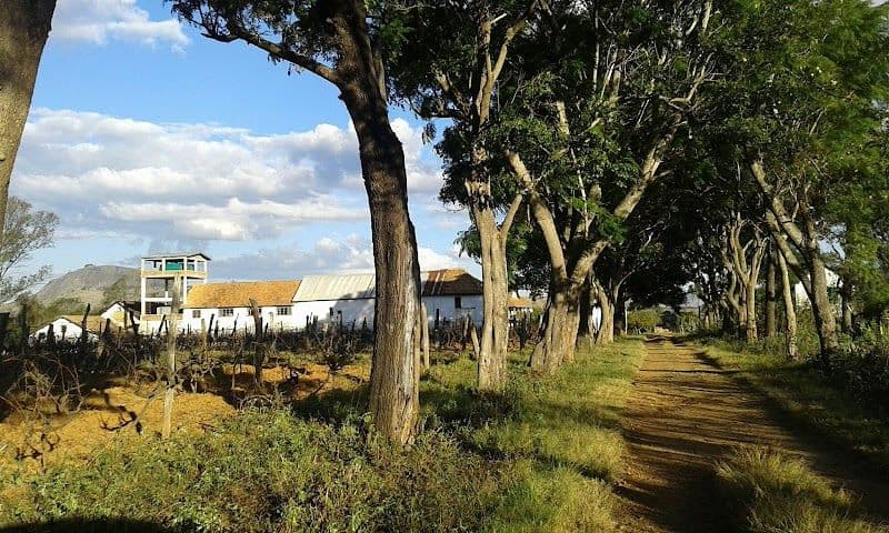 Wine Tasting in the Betsileo Region