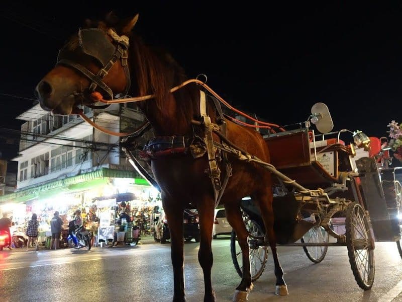 Horse-Drawn Carriage Tour of Lampang City