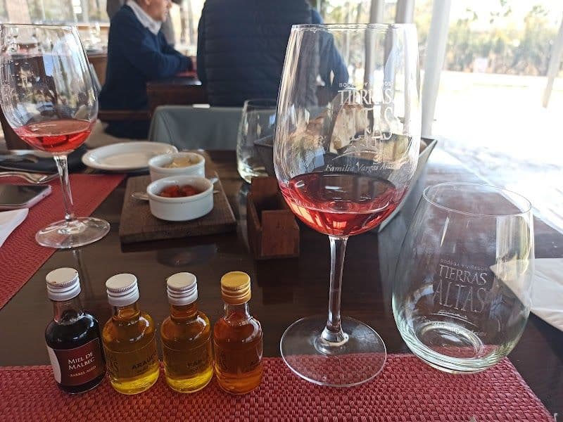 Wine Tasting in Maipú and Luján de Cuyo