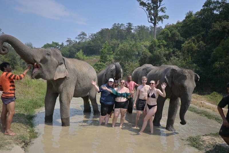 Take an Ethical Elephant Sanctuary Tour