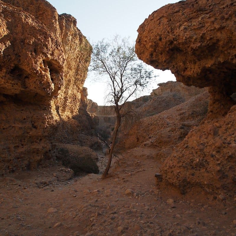Explore Sesriem Canyon