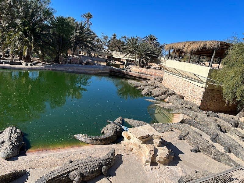 Visit Djerba Explore Park and Crocodile Farm