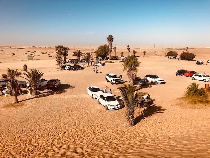 Sandboarding on Dune 7