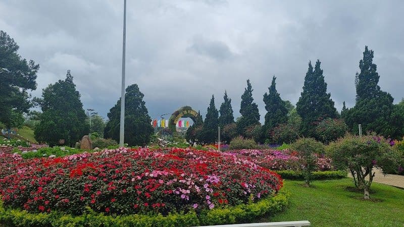 Stroll around Xuan Huong Lake and the Dalat Flower Garden