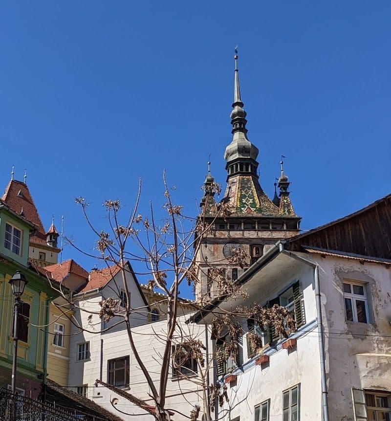 Explore the Sighisoara Citadel (Cetatea Sighișoara)