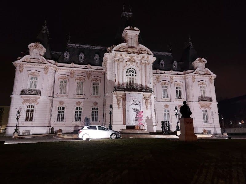 Visit the Craiova Art Museum (Jean Mihail Palace)