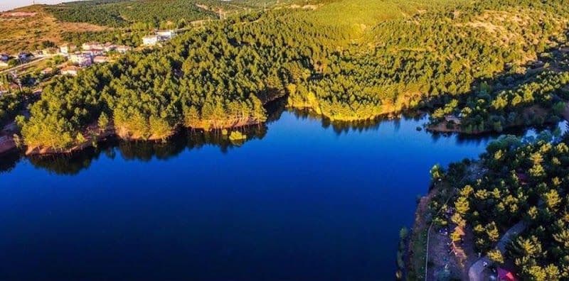 Yozgat Pine Grove National Park