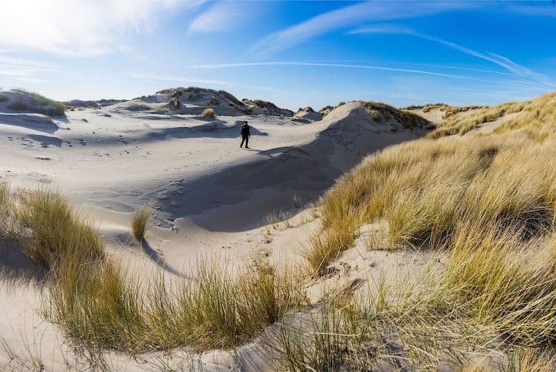 Texel Dunes National Park