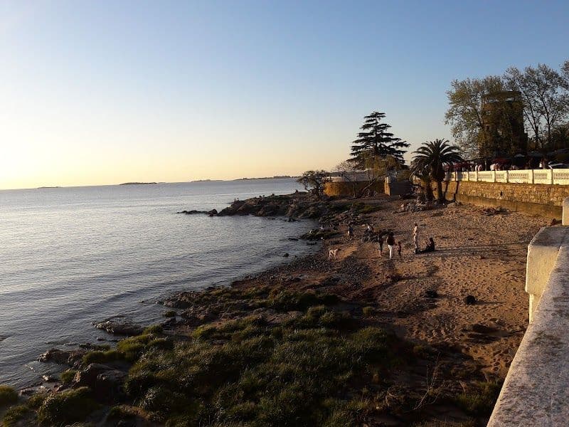 Relax at Rambla de Colonia the scenic waterfront promenade