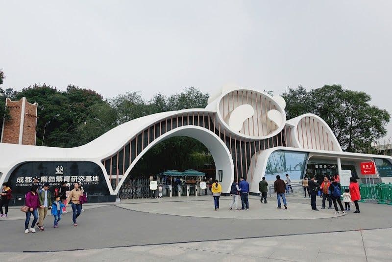 Visit the Chengdu Research Base of Giant Panda Breeding