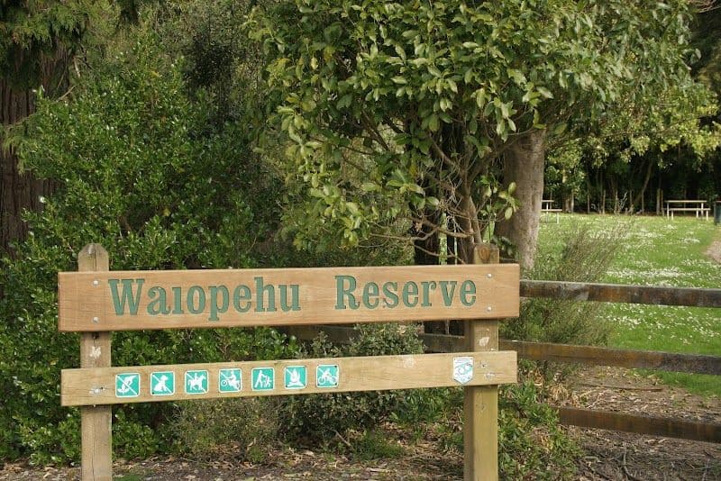 Waiopehu Bush Reserve