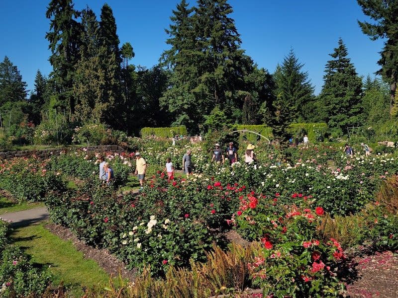 International Rose Test Garden