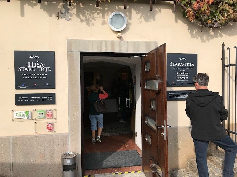 Explore the Old Vine House