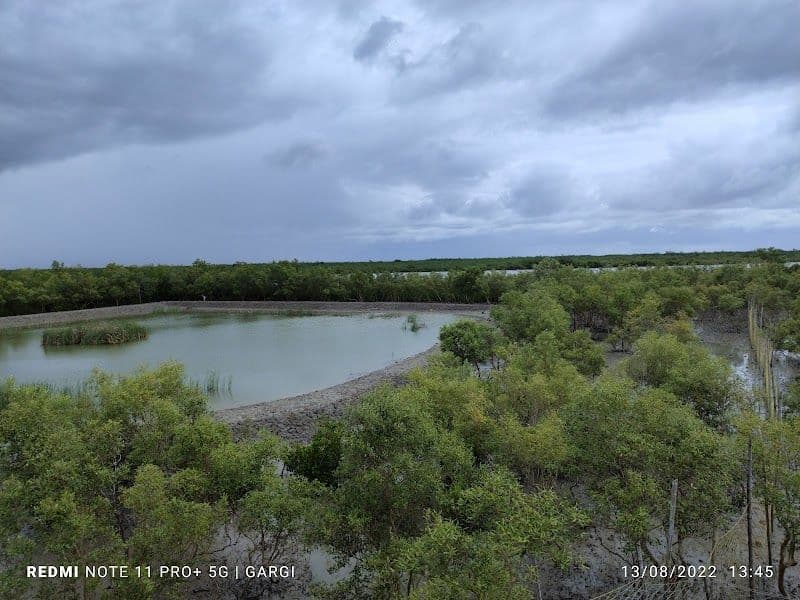 Sajnekhali Tourist Lodge