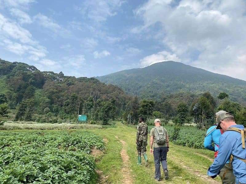 Hiking Mount Bisoke
