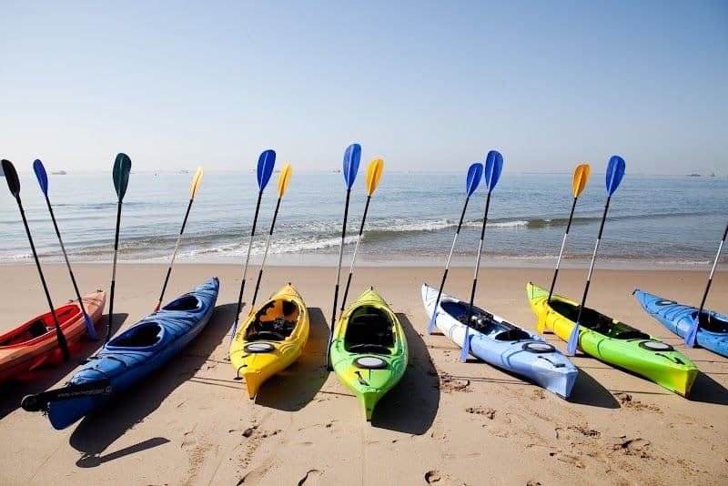Kayaking with seals at Pelican Point
