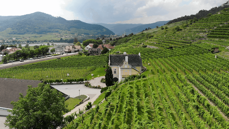Wachau Valley Wine Tour