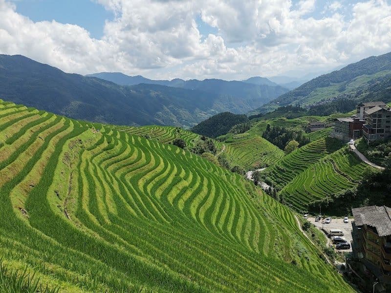 Visit the Longji Rice Terraces