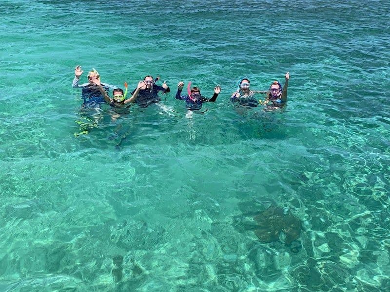 Noumea turtle tour