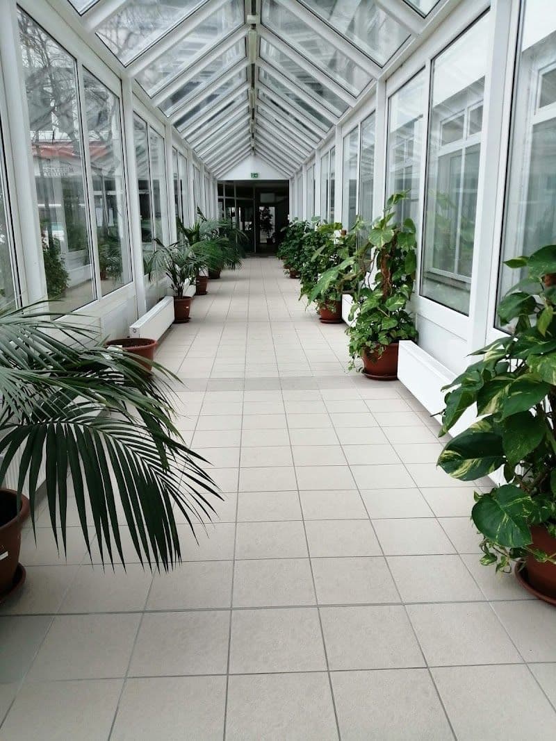 Relax at Aquaticum Spa and Thermal Baths